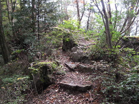 20181009hike (138)